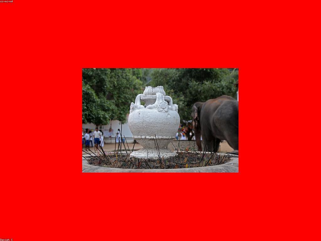 អរិយធម៌នៃភាពជោគជ័យ