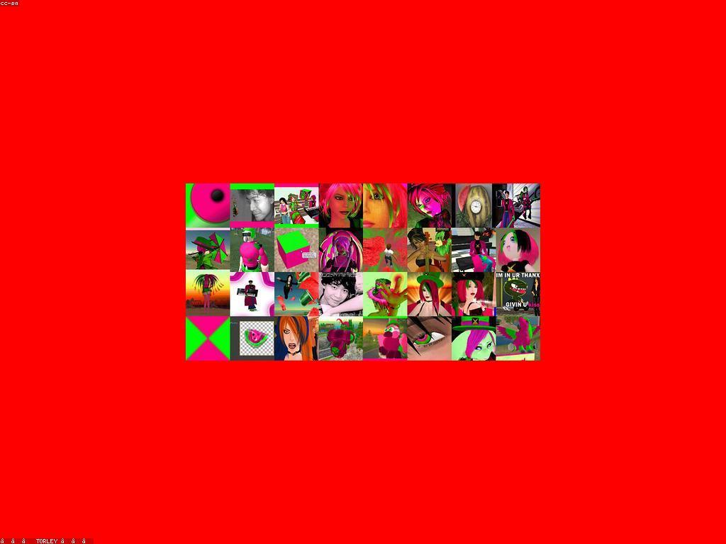 ភាពជោគជ័យក្នុងជីវិត